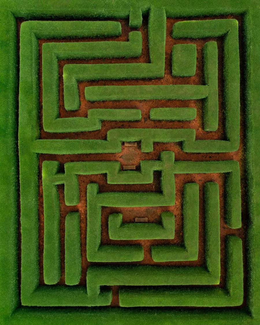 Neatly shaped, freshly trimmed green hedges