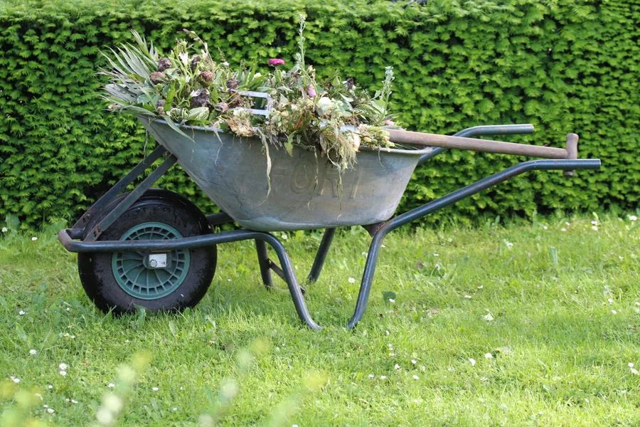 A local pro doing general yard work in a backyard