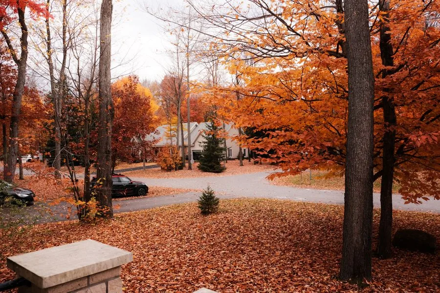 A residential yard lined with fall foliage at the change of season
