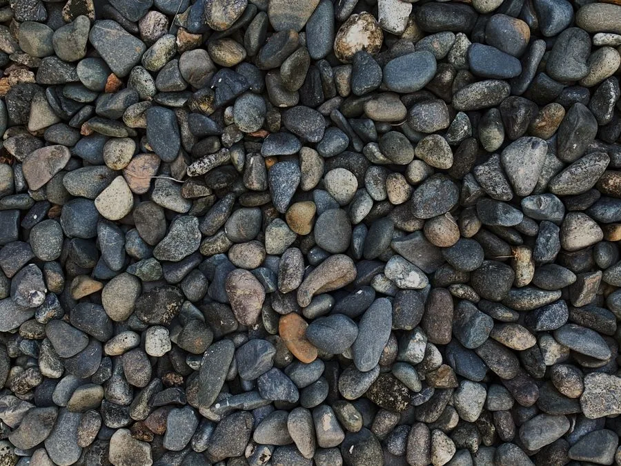 Decorative pea gravel spread as a level landscaped surface